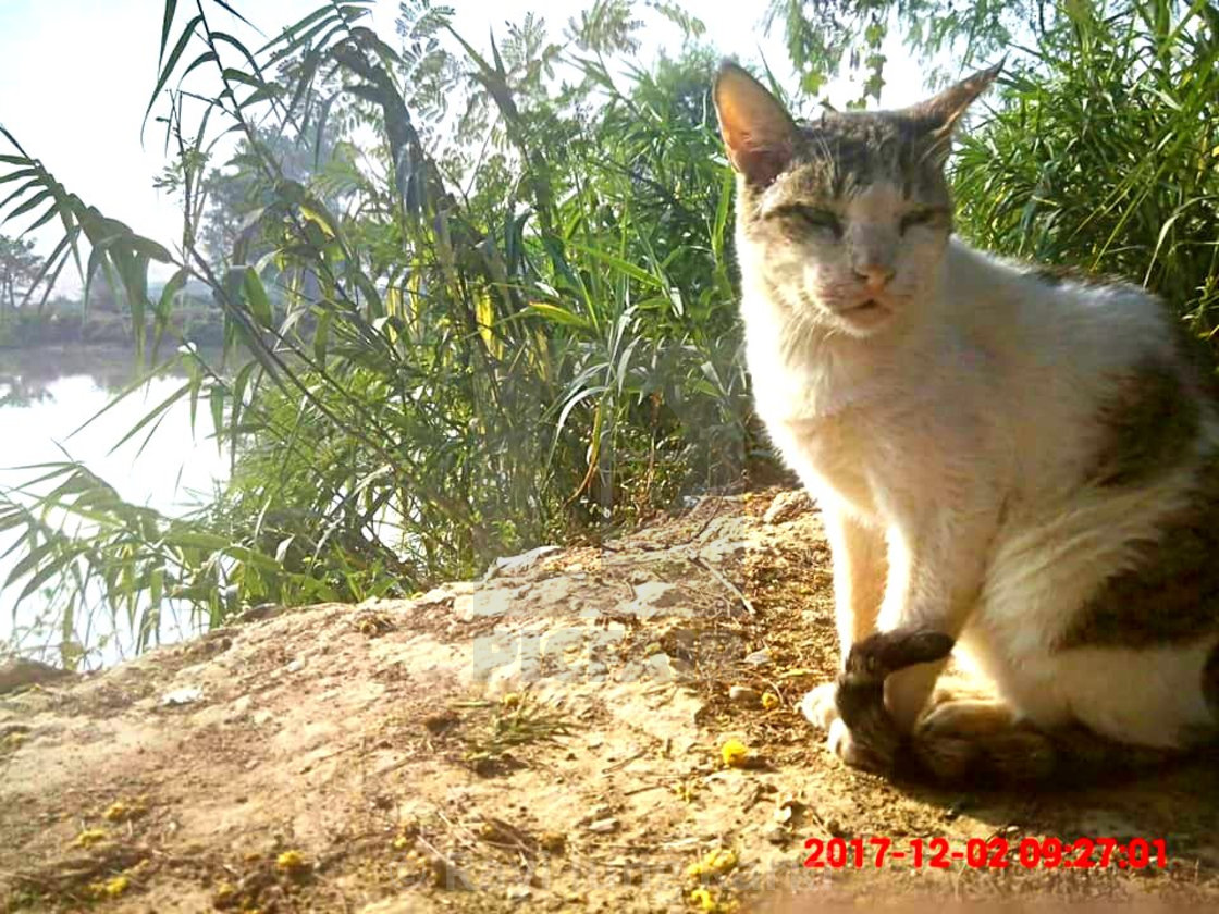 Ravi Jung Karki's Portfolio on Picfair